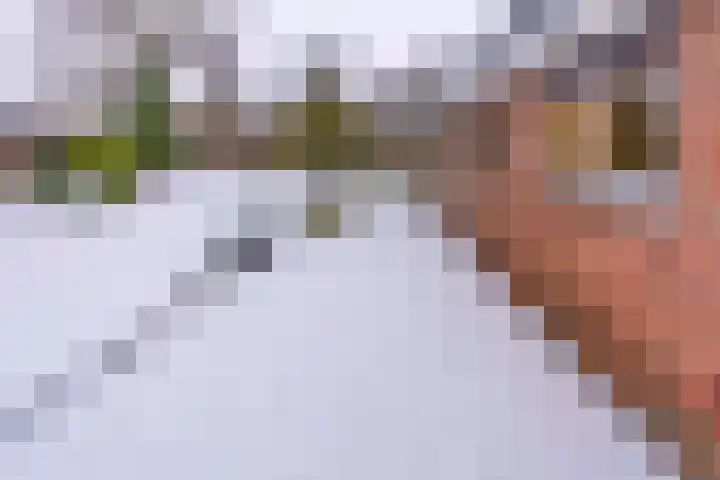 Kleine Bree 18 Sellingen thumbnail 38