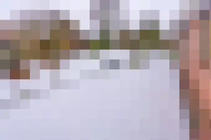Kleine Bree 18 Sellingen thumbnail 39