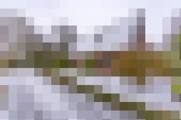 Kleine Bree 18 Sellingen thumbnail 4