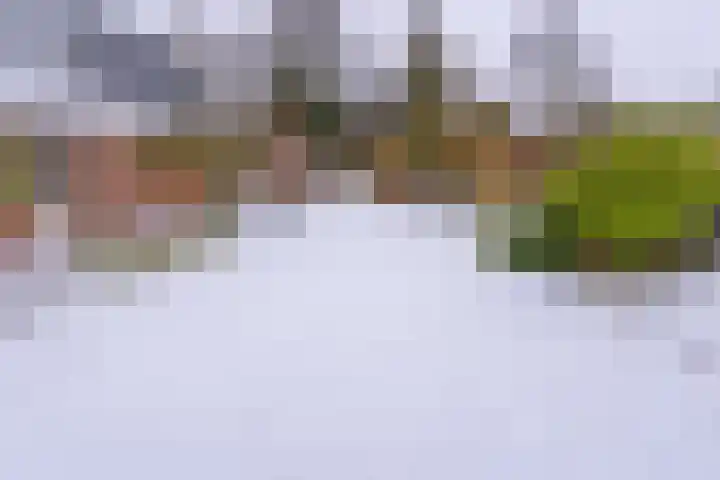 Kleine Bree 18 Sellingen thumbnail 40