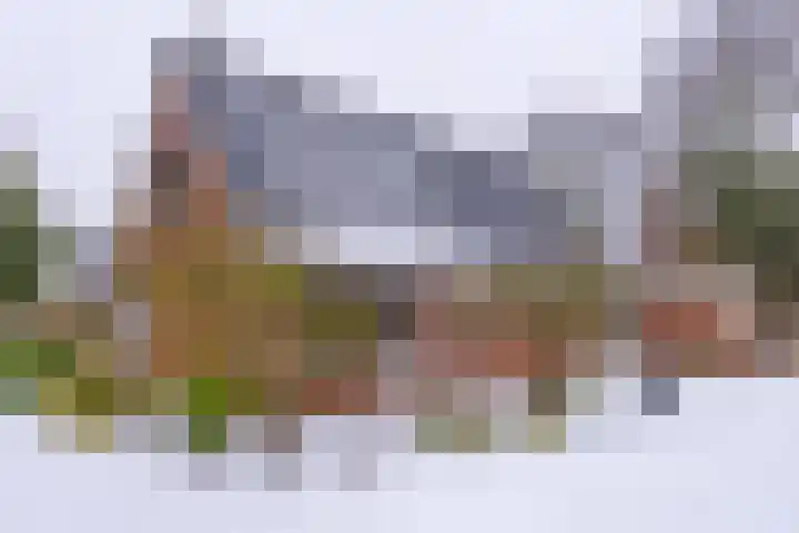 Kleine Bree 18 Sellingen thumbnail 41