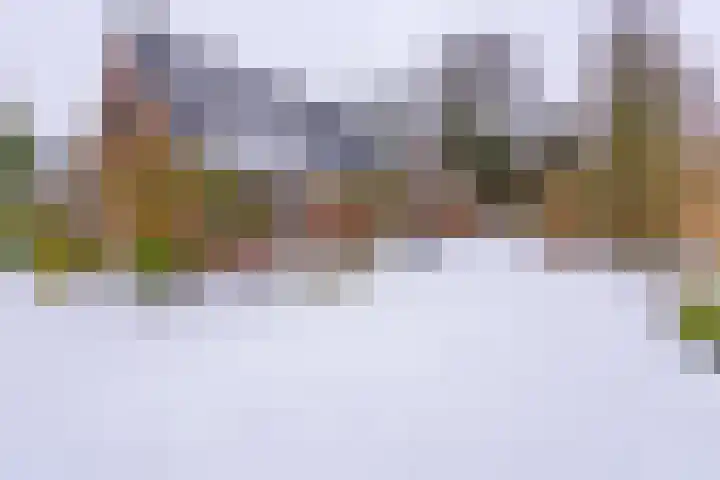 Kleine Bree 18 Sellingen thumbnail 42