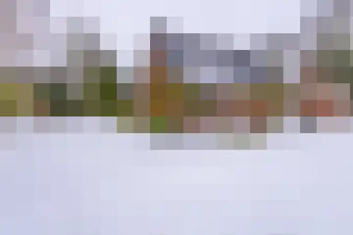 Kleine Bree 18 Sellingen thumbnail 43