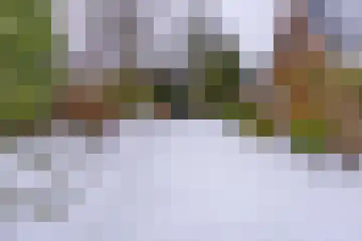 Kleine Bree 18 Sellingen thumbnail 44
