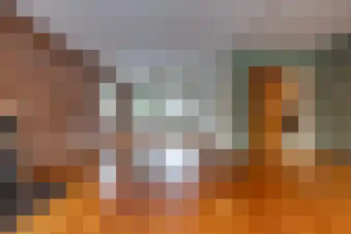 Kleine Bree 18 Sellingen thumbnail 6