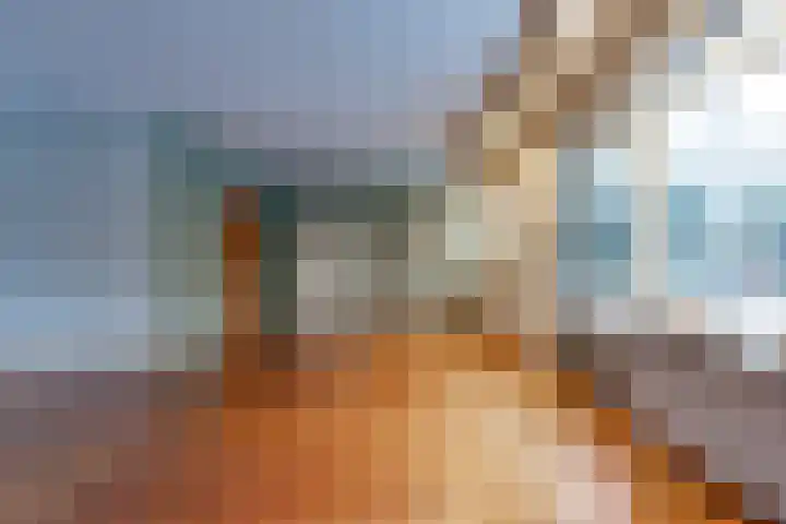 Kleine Bree 18 Sellingen thumbnail 9