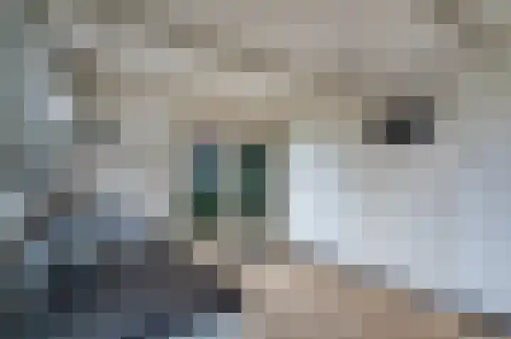 Kleine Breestraat 2 Blokzijl thumbnail 13