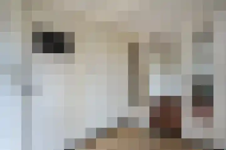 Kleine Breestraat 2 Blokzijl thumbnail 15