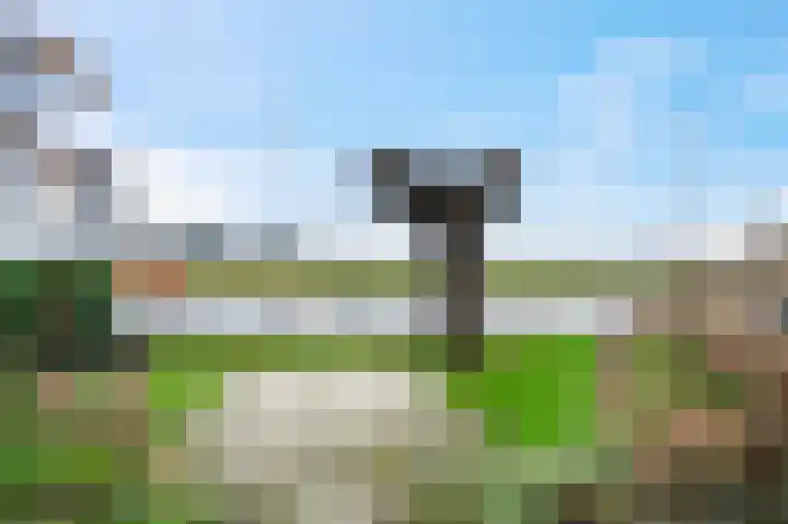 Kleine Breestraat 2 Blokzijl thumbnail 26