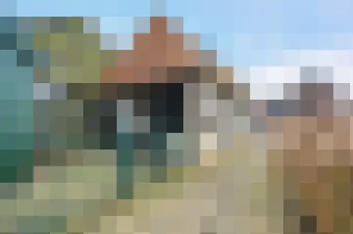 Kleine Breestraat 2 Blokzijl thumbnail 8