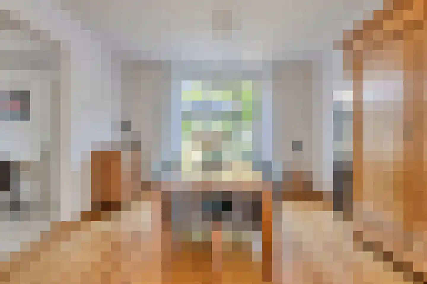 Kleine Broekstraat 66 Bergeijk thumbnail 11