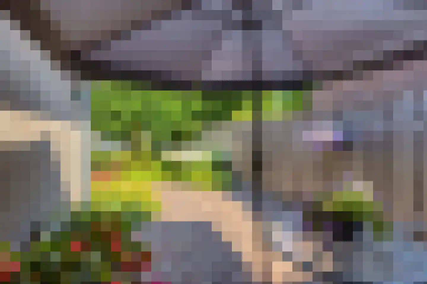 Kleine Broekstraat 66 Bergeijk thumbnail 30