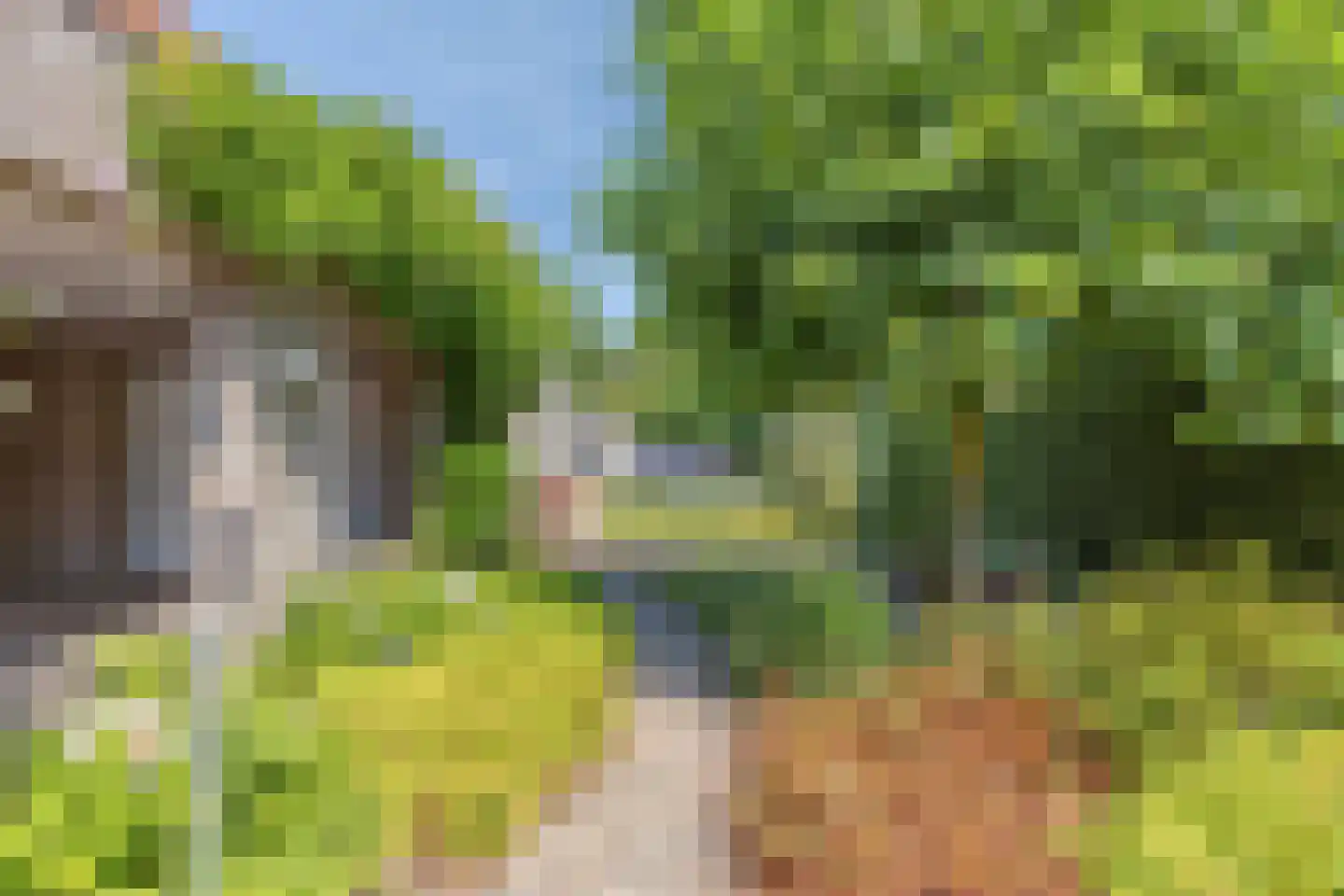 Kleine Broekstraat 66 Bergeijk thumbnail 32