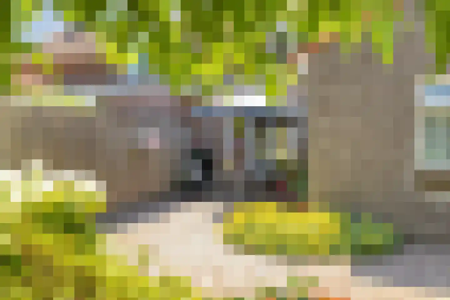 Kleine Broekstraat 66 Bergeijk thumbnail 34