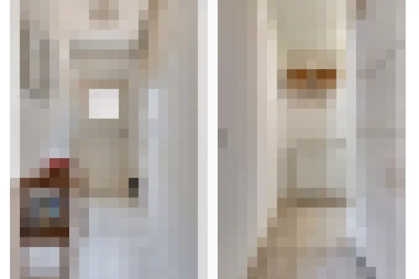 Kleine Broekstraat 66 Bergeijk thumbnail 5