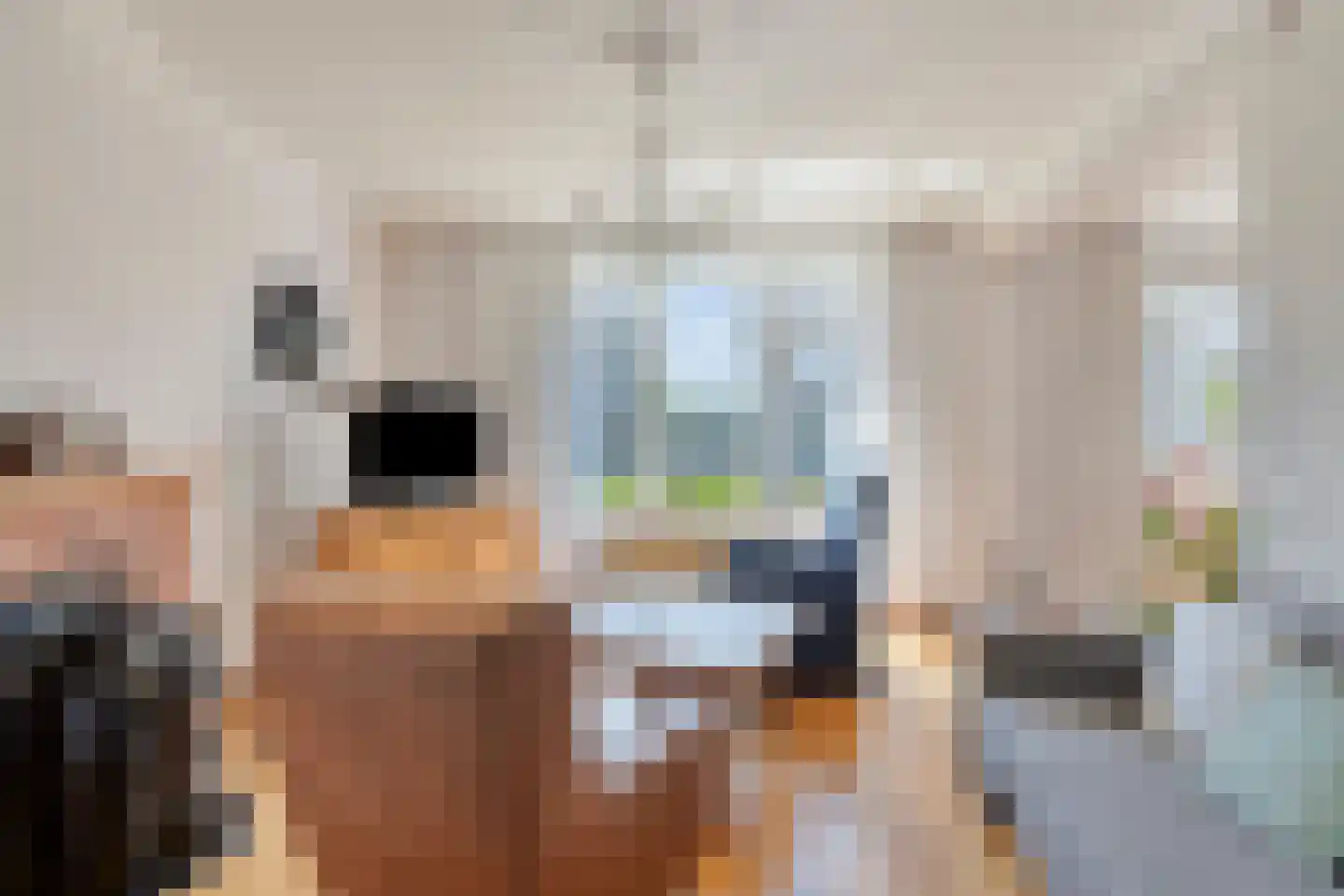 Kleine Broekstraat 66 Bergeijk thumbnail 6