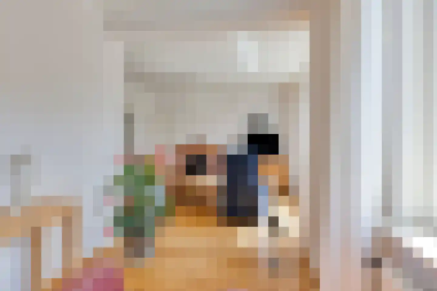 Kleine Broekstraat 66 Bergeijk thumbnail 9