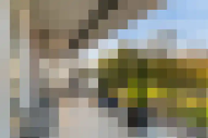 Kleine Buitenweide 83 Vlaardingen thumbnail 24