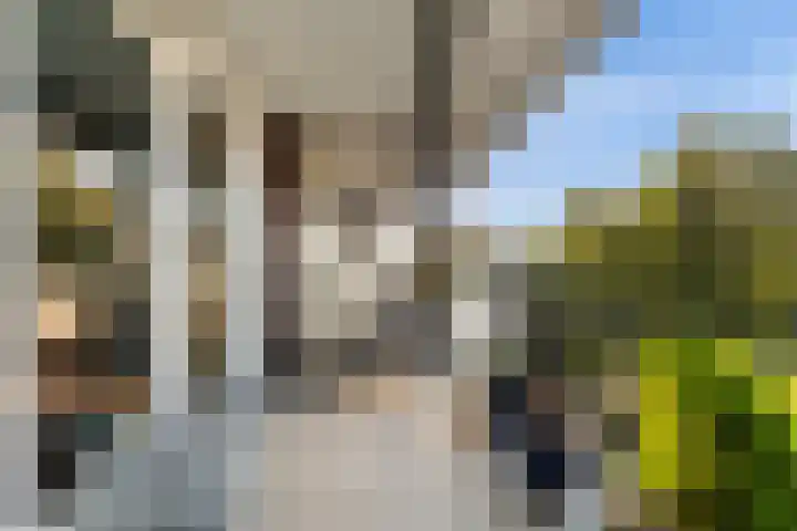 Kleine Buitenweide 83 Vlaardingen thumbnail 25