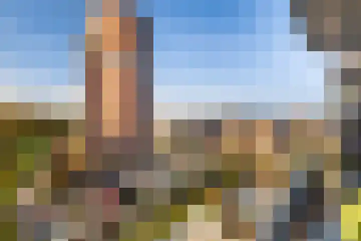 Kleine Buitenweide 83 Vlaardingen thumbnail 26