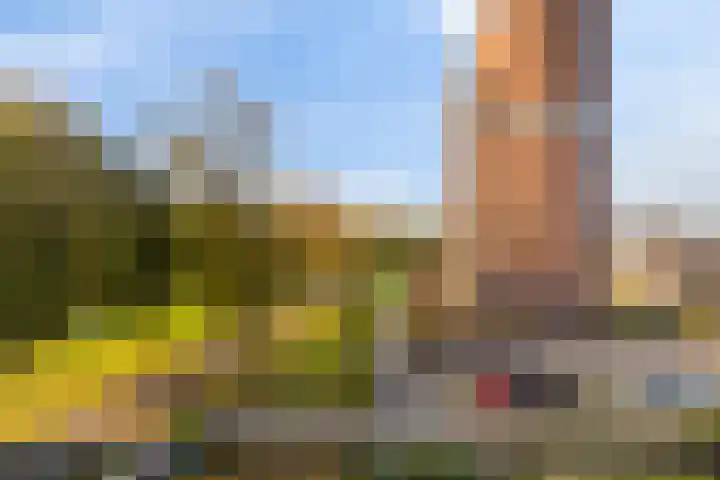 Kleine Buitenweide 83 Vlaardingen thumbnail 27