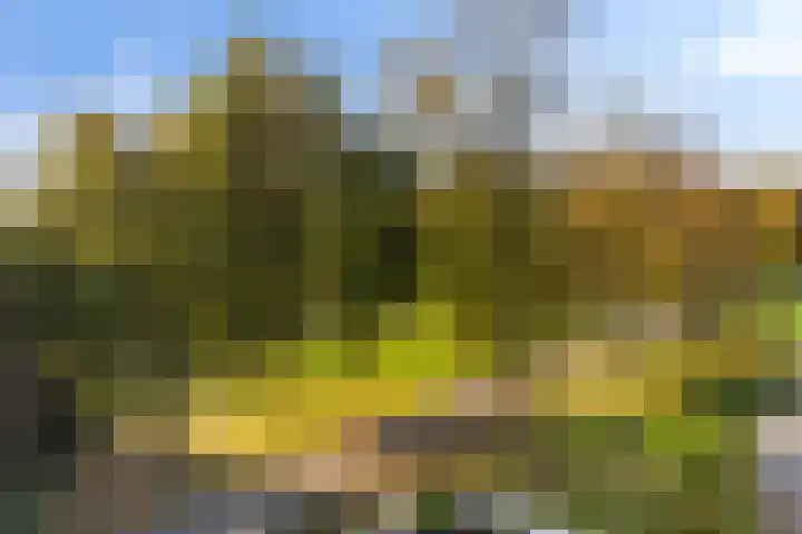 Kleine Buitenweide 83 Vlaardingen thumbnail 28