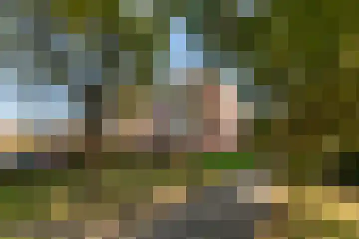 Kleine Buitenweide 83 Vlaardingen thumbnail 43