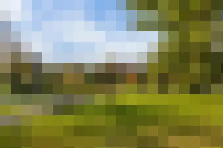 Kleine Buitenweide 83 Vlaardingen thumbnail 46