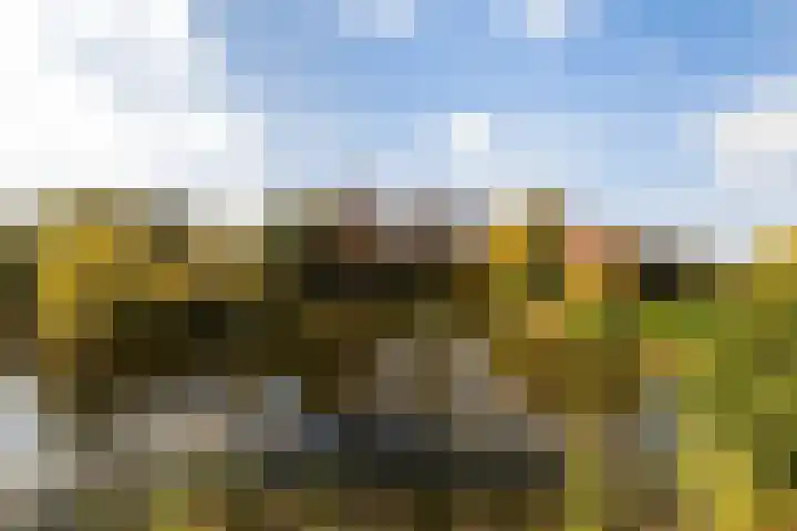 Kleine Buitenweide 83 Vlaardingen thumbnail 47