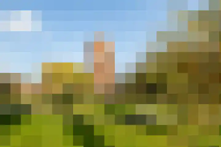 Kleine Buitenweide 83 Vlaardingen thumbnail 48