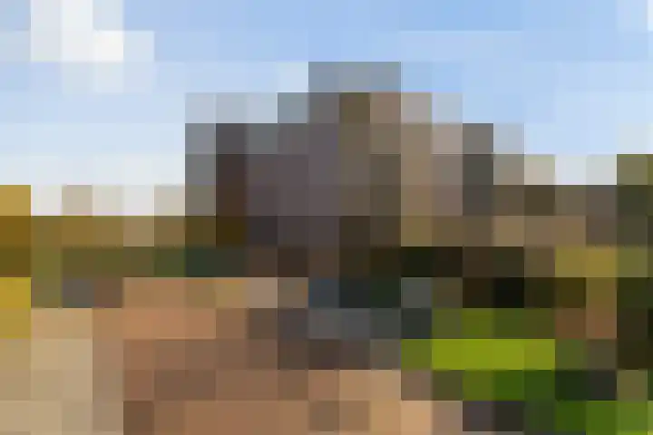 Kleine Buitenweide 83 Vlaardingen thumbnail 6