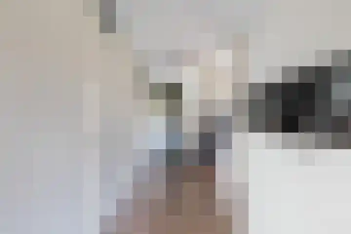 Kleine Buitenweide 83 Vlaardingen thumbnail 8