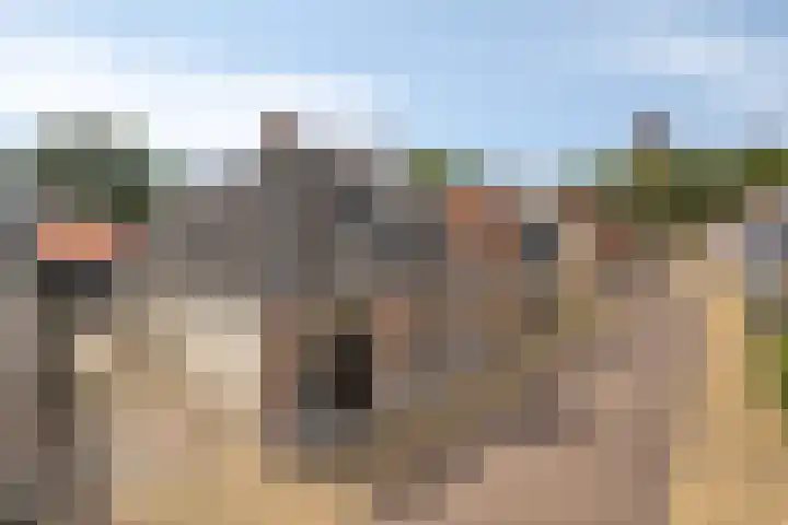 Kleine Buren 22 Pingjum