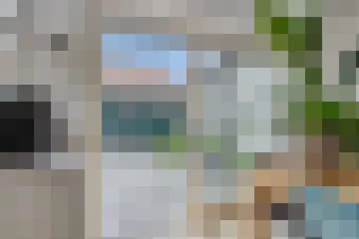 Kleine Buren 22 Pingjum thumbnail 10