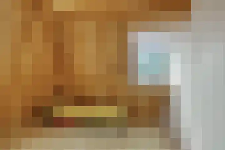 Kleine Buren 22 Pingjum thumbnail 19