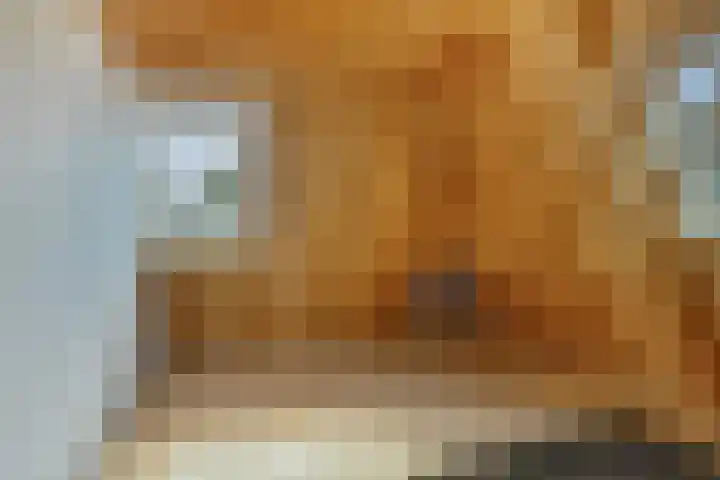 Kleine Buren 22 Pingjum thumbnail 20