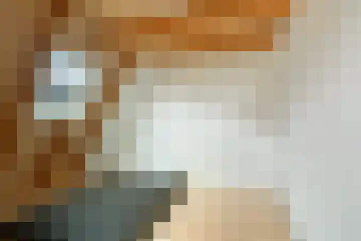 Kleine Buren 22 Pingjum thumbnail 21