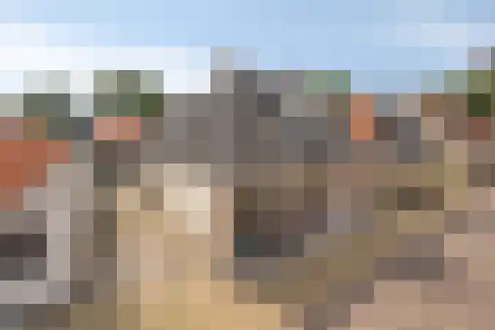 Kleine Buren 22 Pingjum thumbnail 28