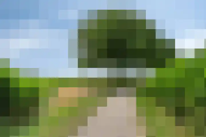 Kleine Buren 22 Pingjum thumbnail 35
