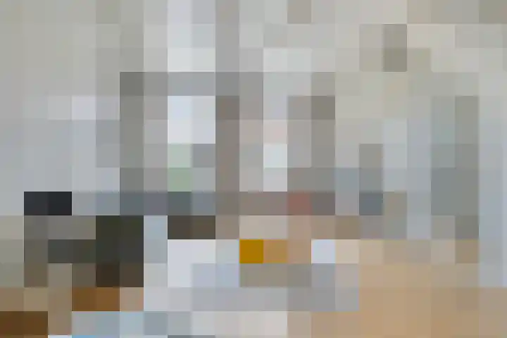 Kleine Buren 22 Pingjum thumbnail 4