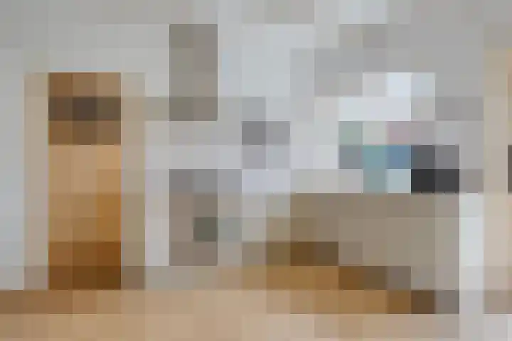 Kleine Buren 22 Pingjum thumbnail 7