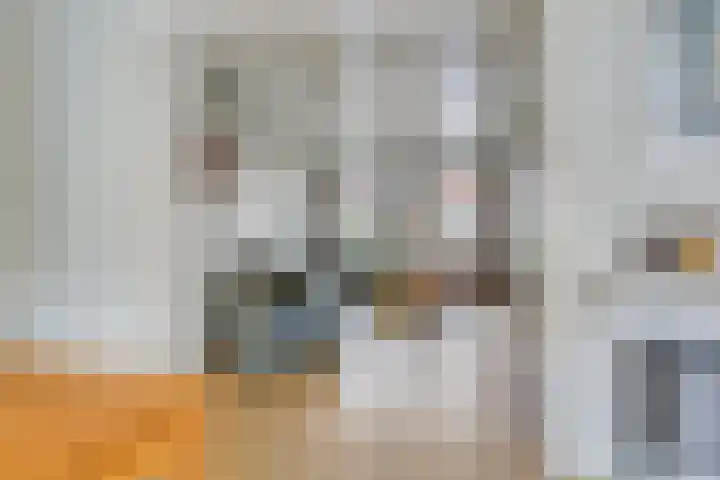Kleine Buren 22 Pingjum thumbnail 9