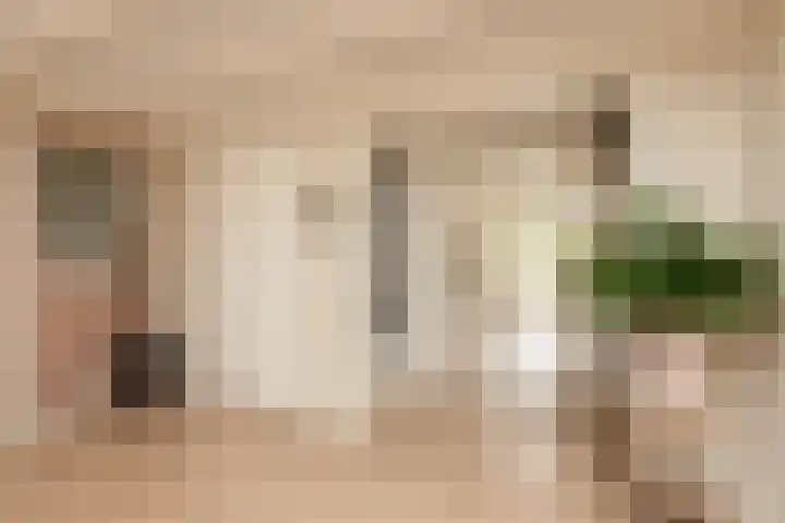 Kleine Buren 24 Pingjum thumbnail 11