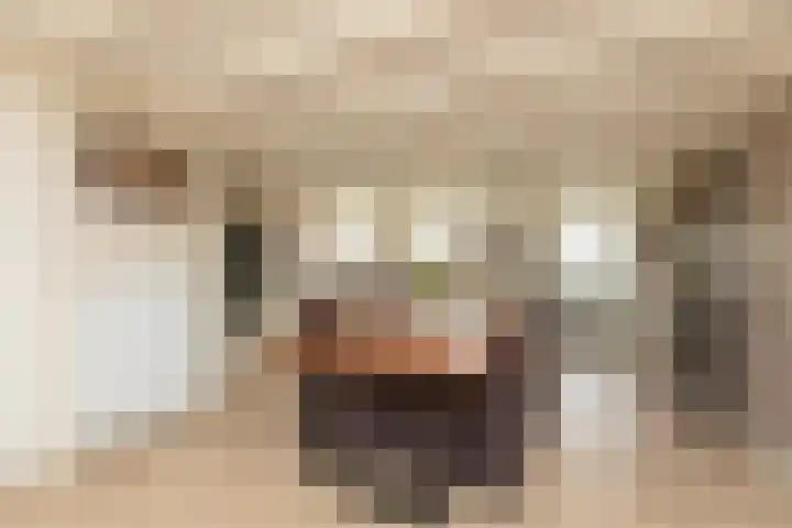 Kleine Buren 24 Pingjum thumbnail 13