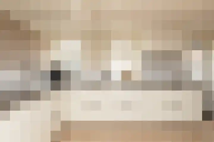 Kleine Buren 24 Pingjum thumbnail 14