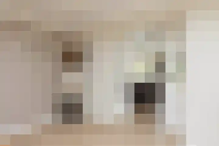 Kleine Buren 24 Pingjum thumbnail 17