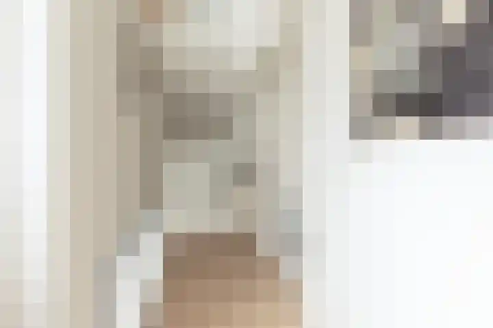 Kleine Buren 24 Pingjum thumbnail 20