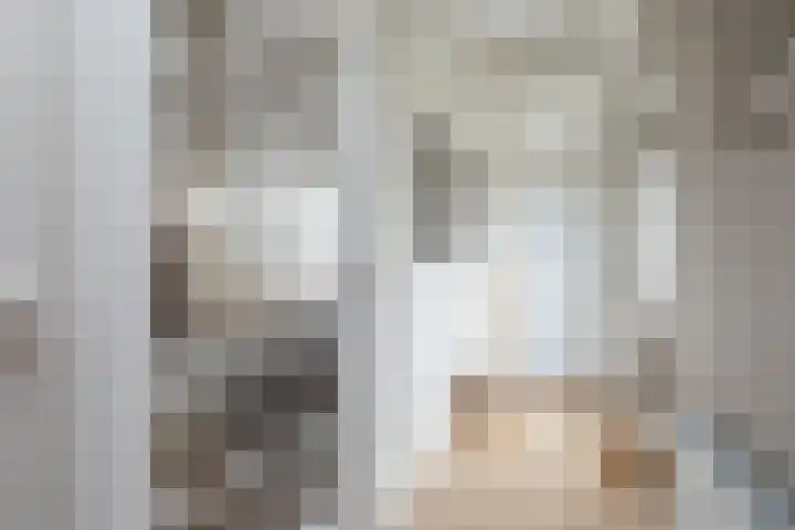 Kleine Buren 24 Pingjum thumbnail 21