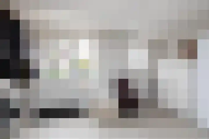 Kleine Buren 24 Pingjum thumbnail 22