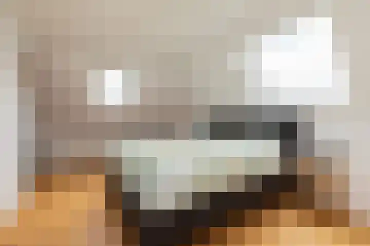 Kleine Buren 24 Pingjum thumbnail 26